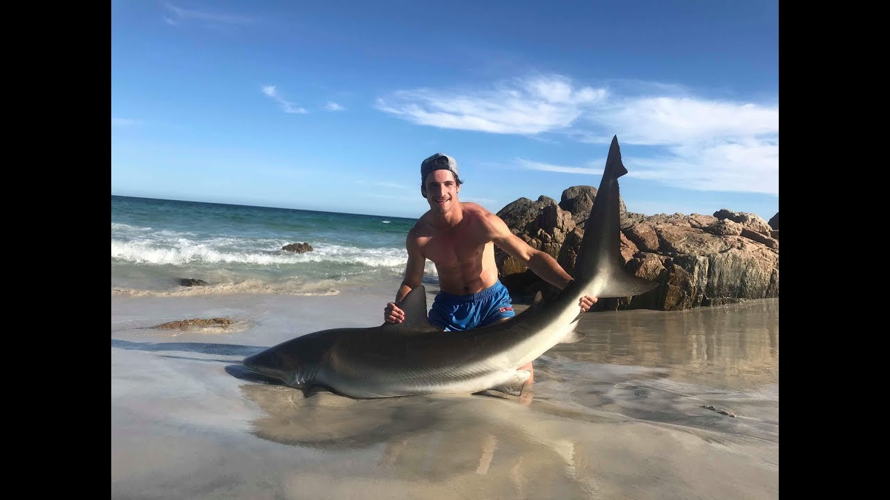 Big Shark Fishing In Australia