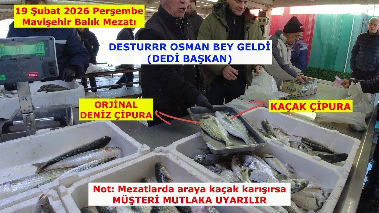 19 ŞUBAT PERŞ. NİHAYET MEZAT BAŞLADI. MÜŞTERİ AZ OLSA DA MEZAT SONU KASA KASA HEPSİ SATILDI.