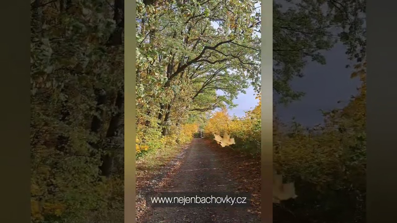 Meditace Vnitřní žena