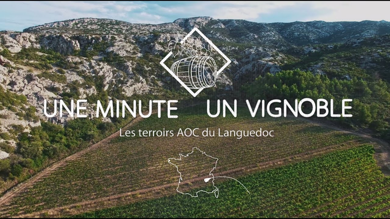 Les terroirs AOC du Languedoc - 1 Minute, 1 Vignoble