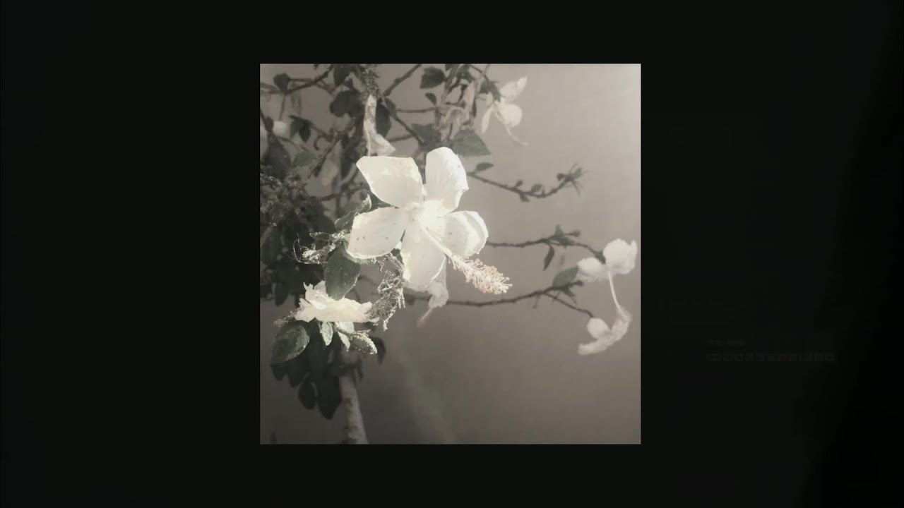 [free] post-hardcore ✯ early 2000's emo ✯ alternative rock type instrumental