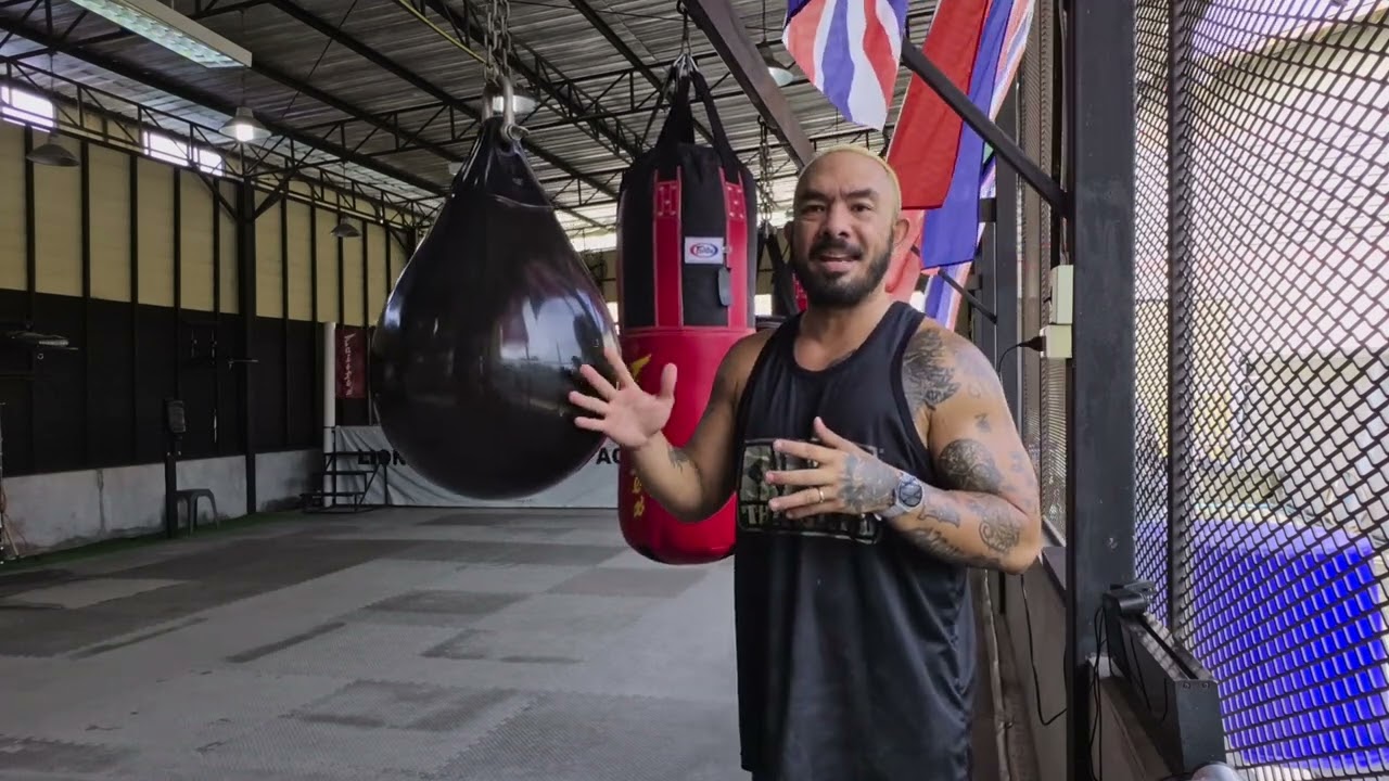 2 Best punching bags for small home/gym set up.