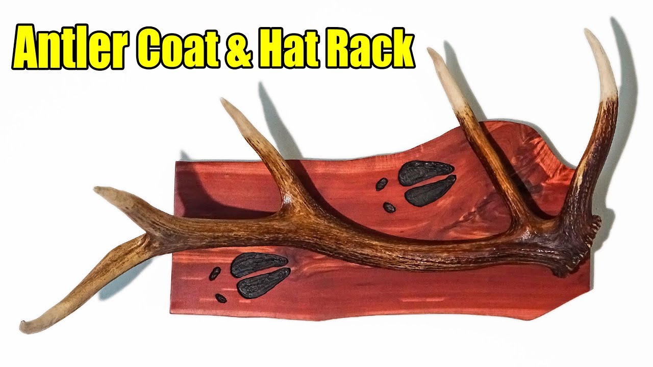 DIY Antler Hat & Coat Rack
