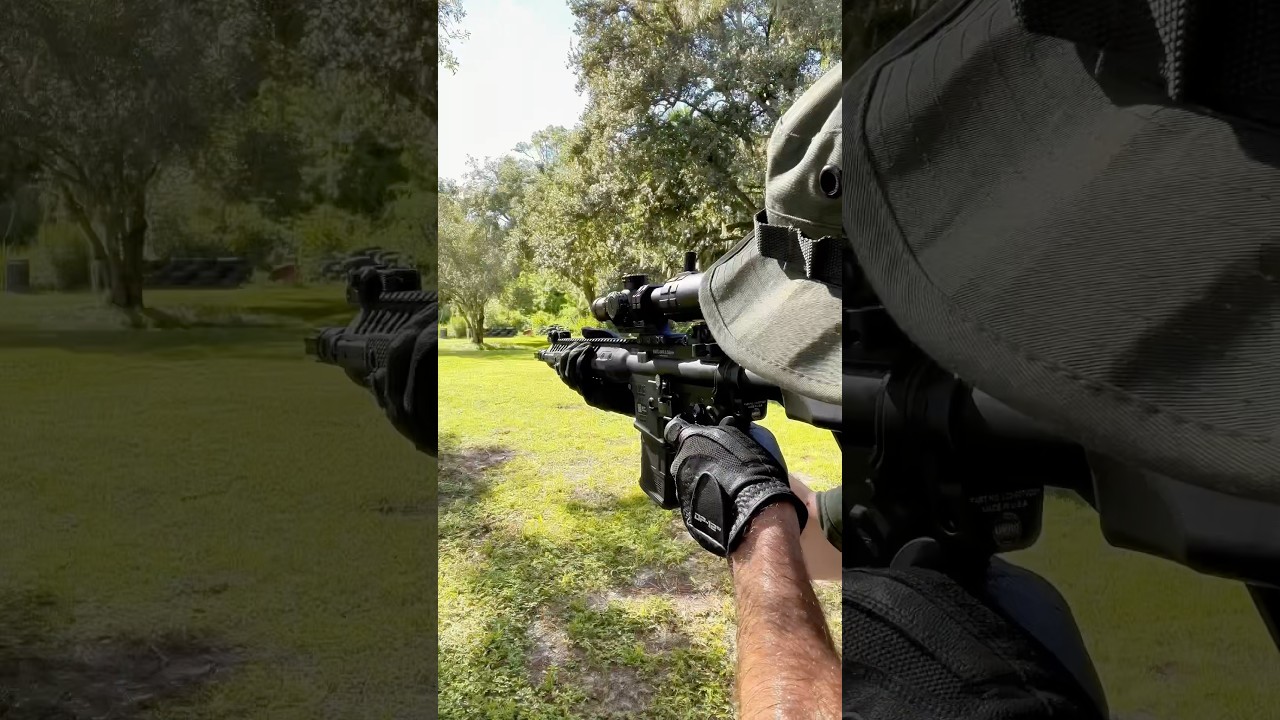 LWRC M6 with Triton Orion LPVO 1-10x