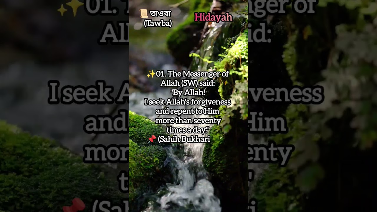 Tawba | Short Reminder | Bangla Islamic Shorts | Hidayah #shorts