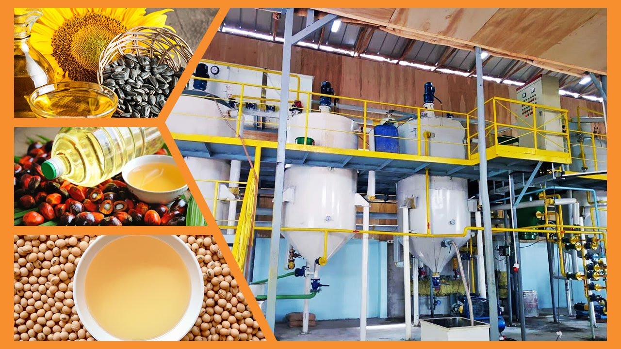Efficient cooking oil refinery machine | edible oil refining plant | cooking oil making plant