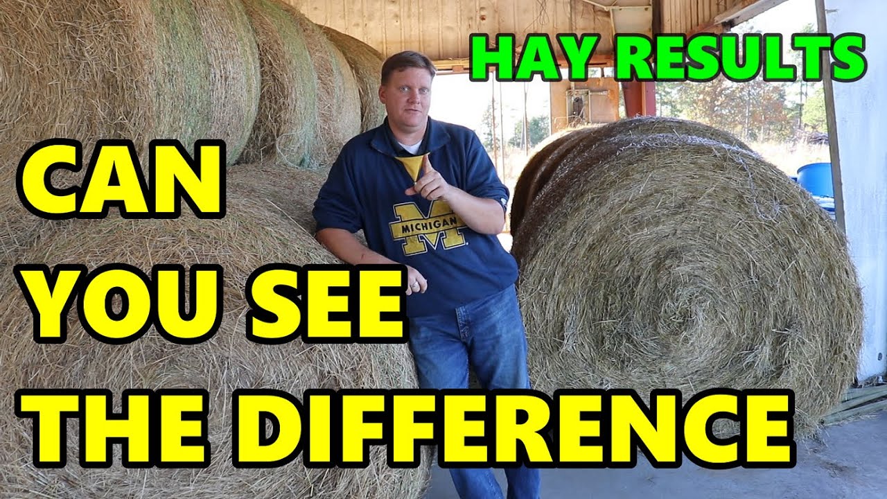 Ep. 128 - Forage Analysis Test Results | What REALLY Matters for Bison | Blackacre Ranch