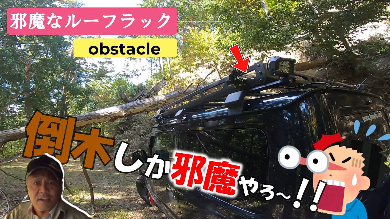 倒木よりルーフラックが邪魔やんけ!