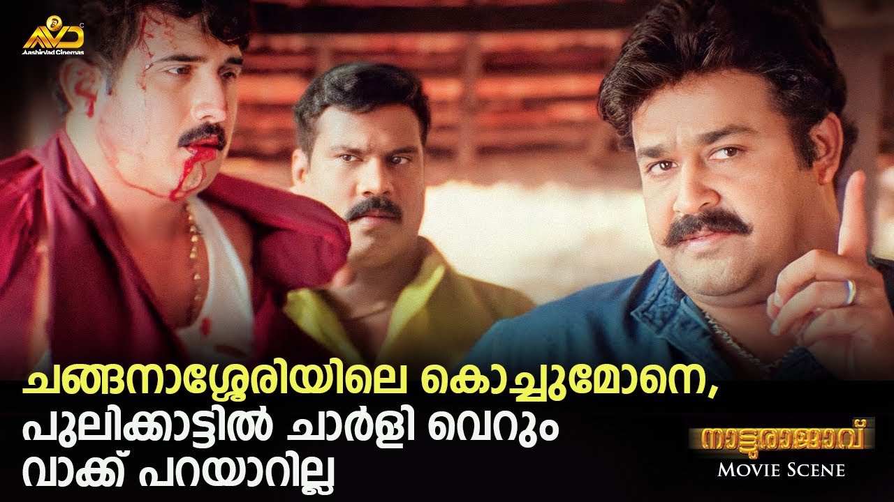 പുലിക്കാട്ടിൽ ചാർളി വെറും വാക്ക് പറയാറില്ല | Natturajavu Movie Scene | Mohanlal | Shaji Kailas