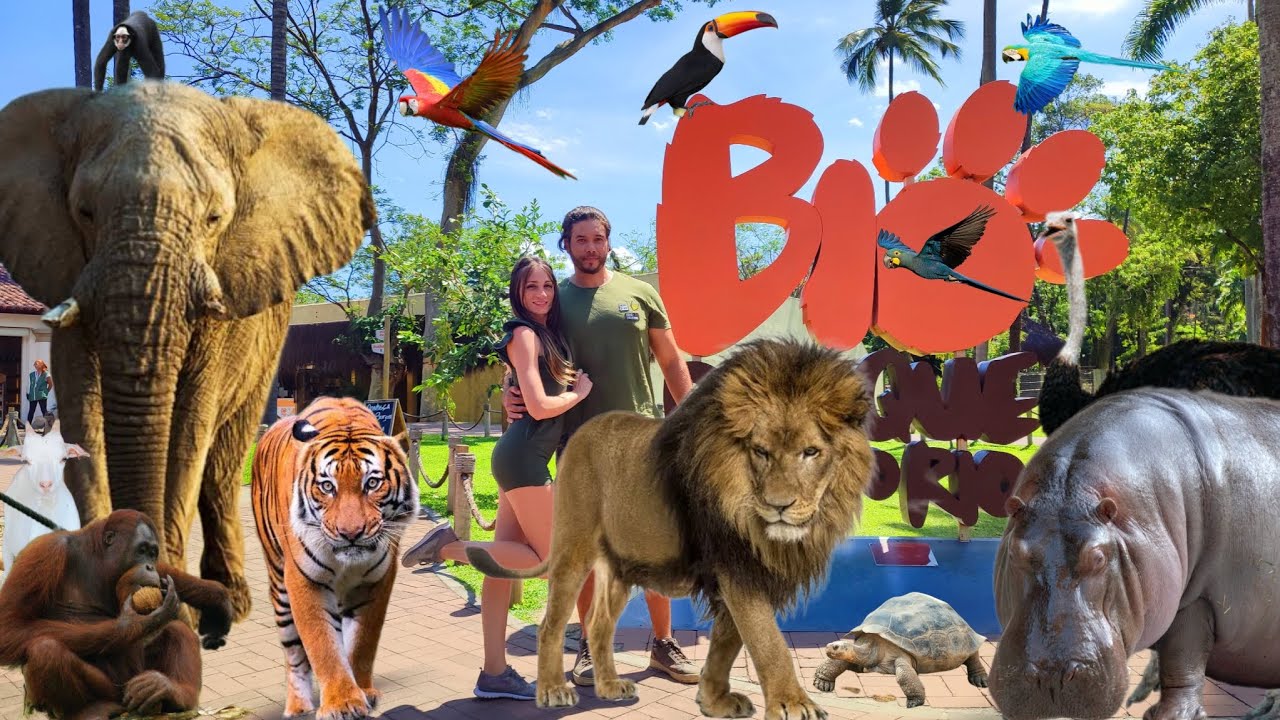 BIOPARQUE do RIO | ZOOLÓGICO no RIO de JANEIRO