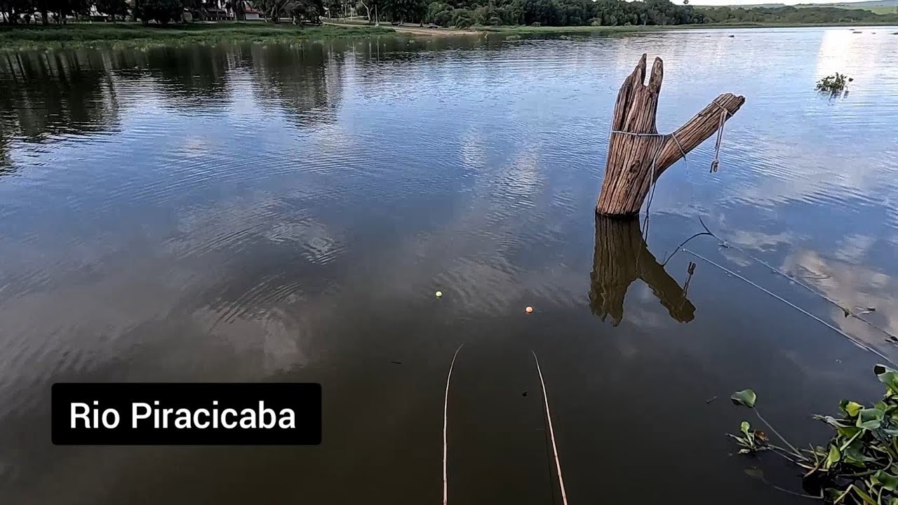 Pescaria no Rio Piracicaba em Santa Maria da Serra era só descer a isca viva um atrás do outro 