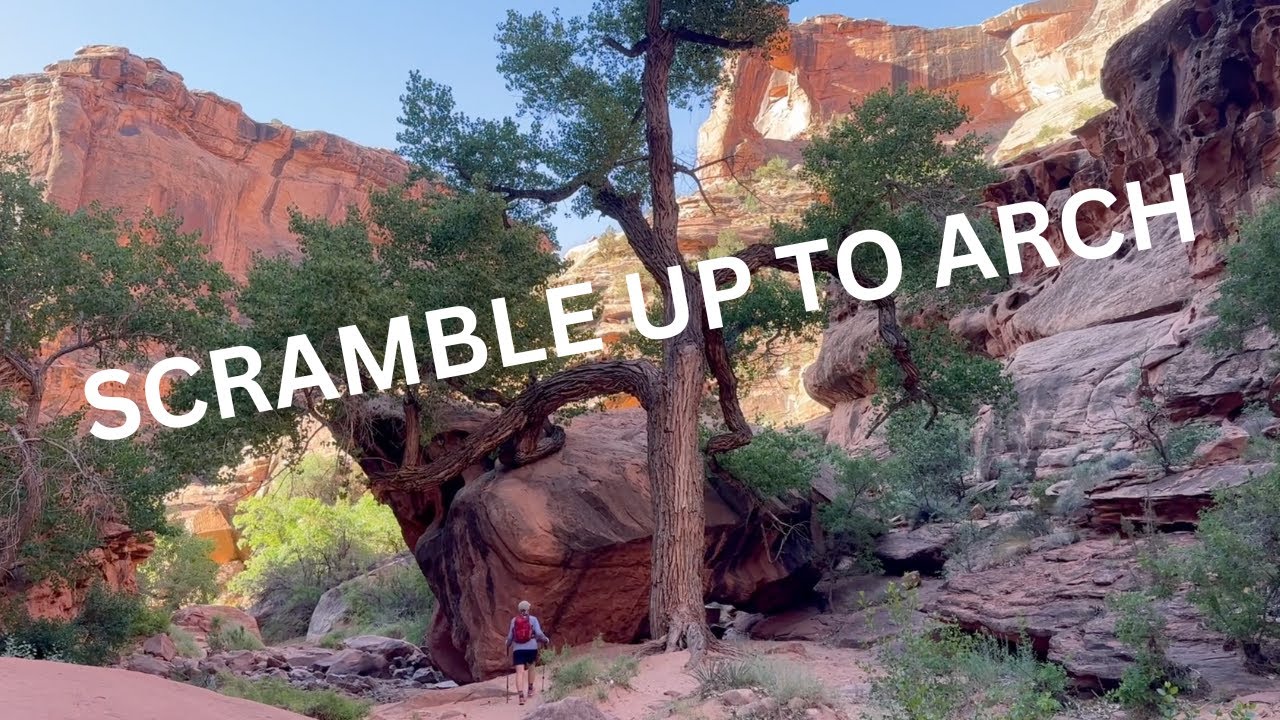 Hunter Canyon // We made it a challenge!
