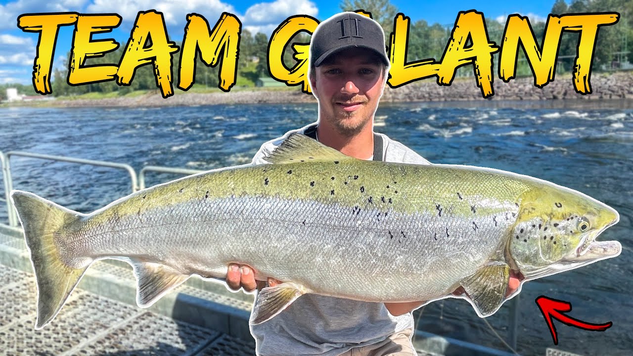 РЫБАЛКА МЕЧТЫ: Ловля Лосося и Поющие Катушки | Team Galant