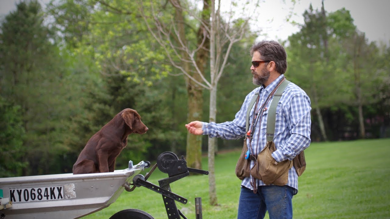 Overlooked Dog Training Rule | Be a Considerate Dog Owner!