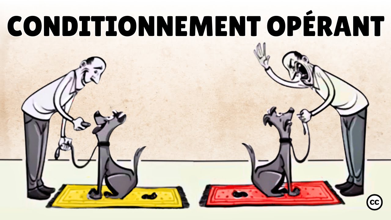 Le conditionnement opérant de Skinner : Récompenses et punitions