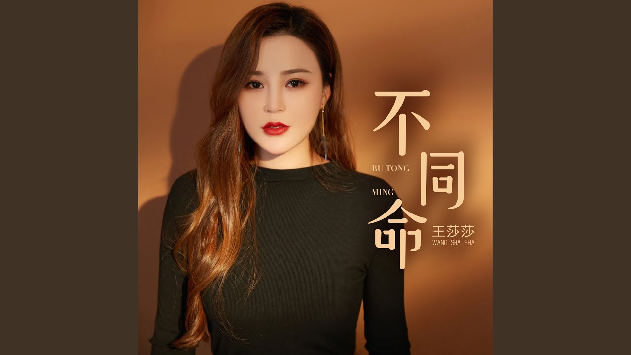 不同命 (DJ何鹏版)