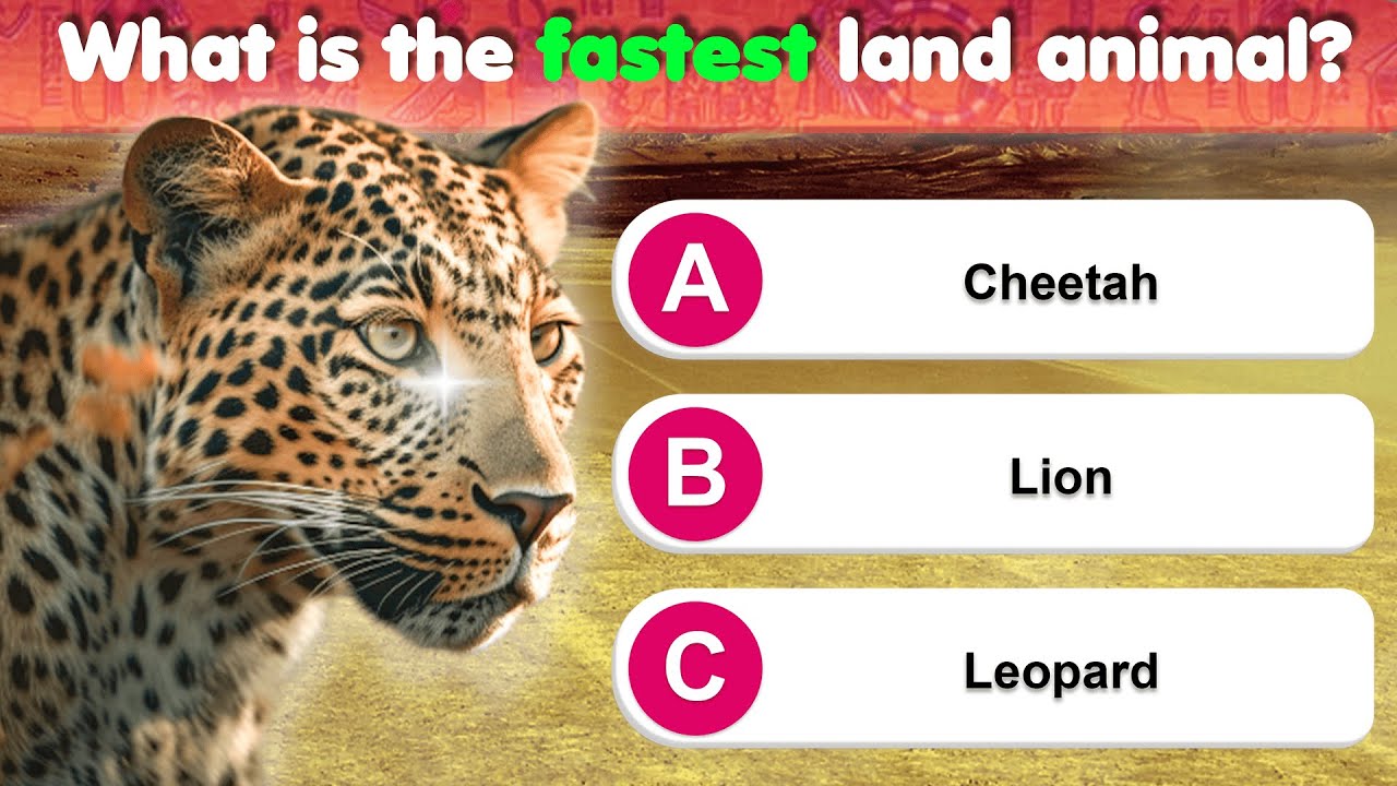 Can You Pass This General Knowledge Quiz? 🧠 Try These 30 Trivia Questions Now!