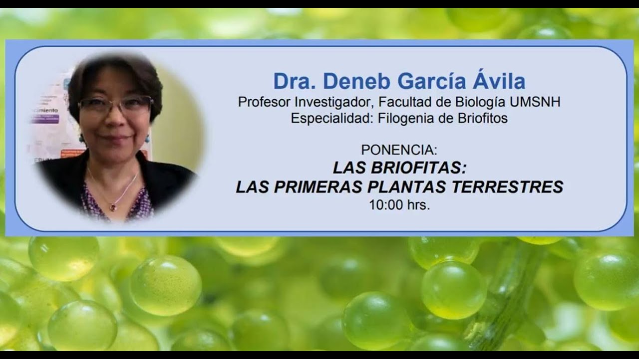 Conferencia: Las briofitas, las primeras plantas terrestres