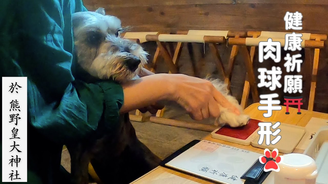 愛犬と2人で軽井沢旅★熊野皇大神社で肉球手形♬★赤バスかわいい