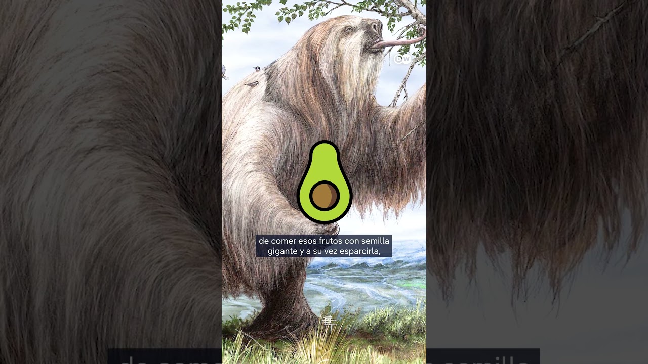 La bestia perezosa de Sib&ouml;