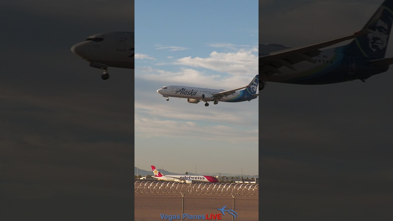 Edelweiss Widebody A350 - Flower Power at Golden Hour on a 106-degree Vegas day! 