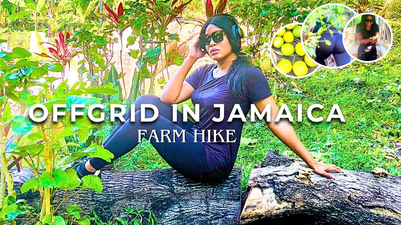 Hiking to the Farm, Chasing Chickens & Healing After Narcissism | Weekly Vlog 