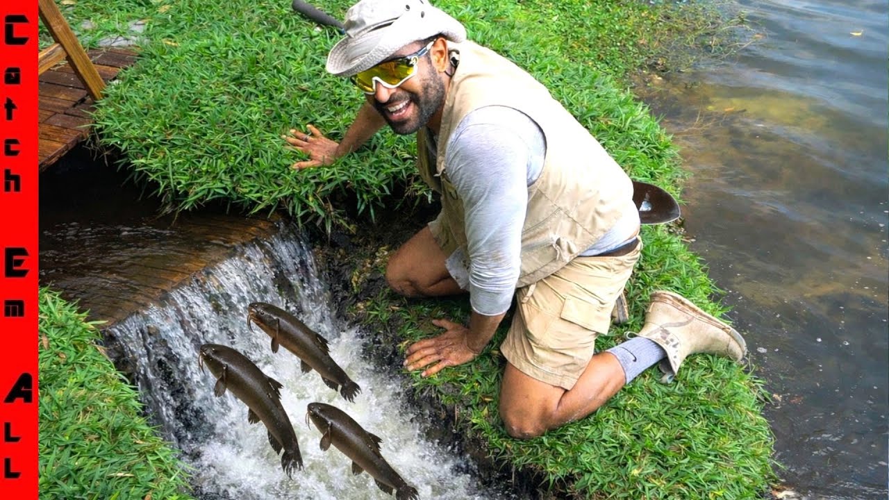 BUILDING a FISH STOPPING WATERFALL to STOP Invasive CATFISH! **Blue Gil Bait Farm**