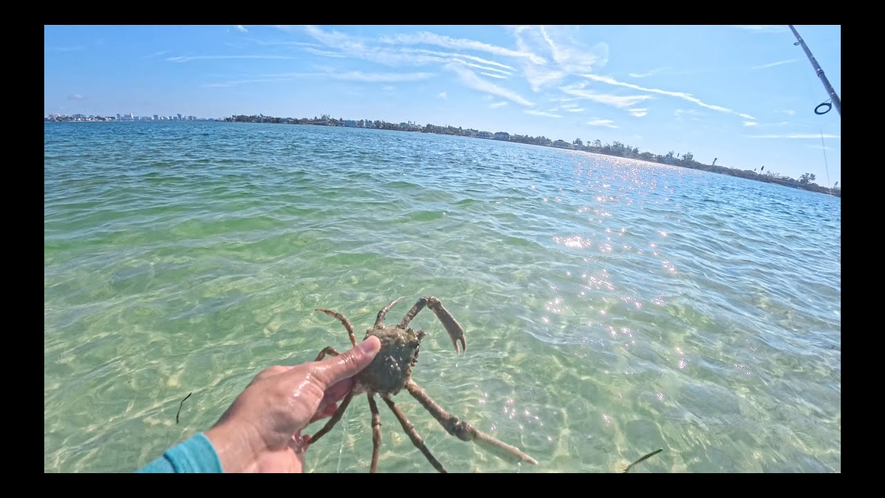 Insta 360 Ace Pro 2 | Fishing POV