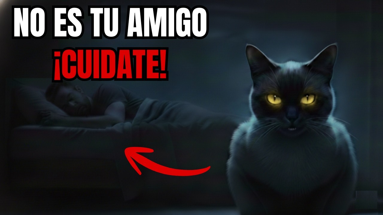 10 Razones por las cual tu GATO es tu PROTECTOR nocturno!