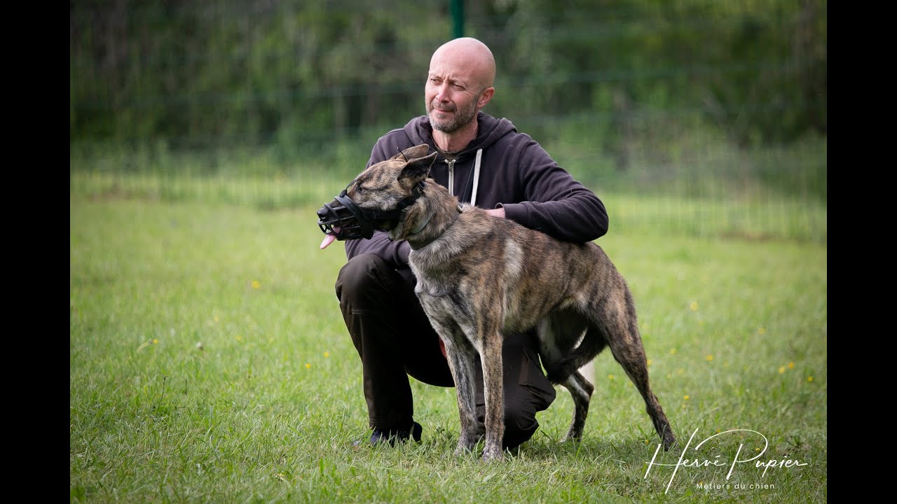 Centre Hervé Pupier - Formation Educateur canin