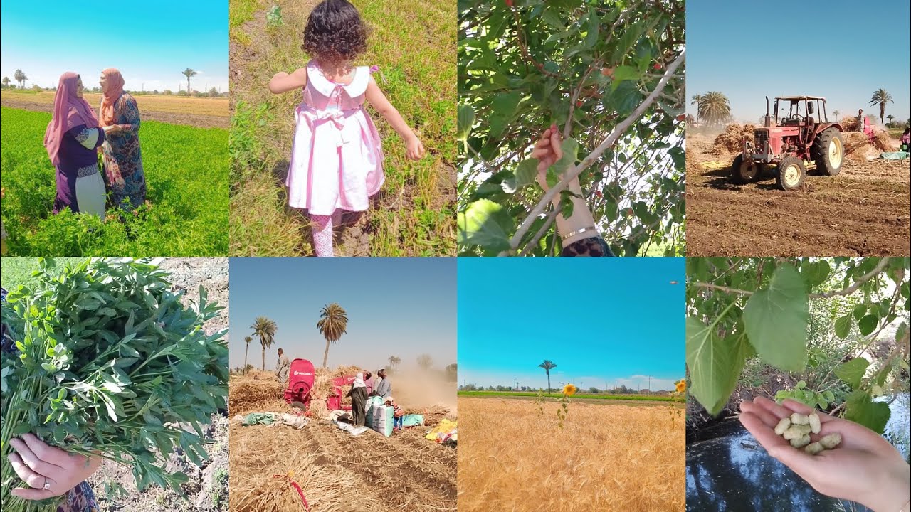 تعالو شوفي قضيت شم النسيم ازاي مع صحبتي 💗🌷