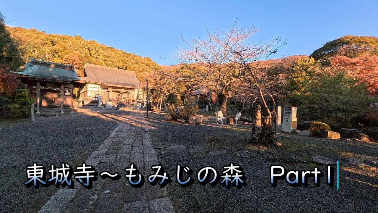 【東城寺～もみじの森】朝活 Part 1（2025/12/06）