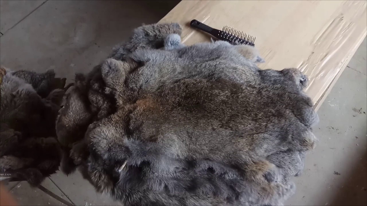 Выделка шкур кролика. окончание
