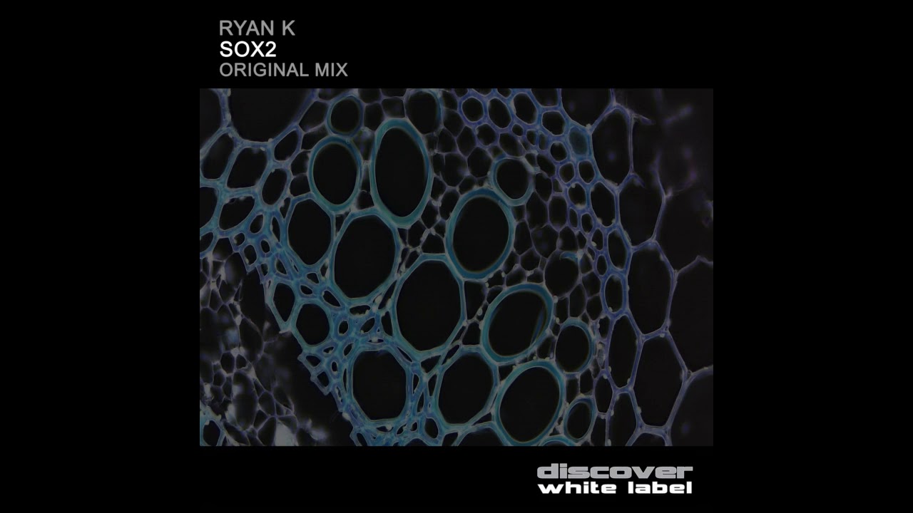 Ryan K - Sox2 (Original Mix)
