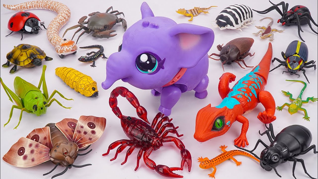 🐘toy asmr🐘 RC Lizard & RC Elephant & ZURU Robo Alive Insect Toys 🦋 ASMR Satisfying with Unboxing