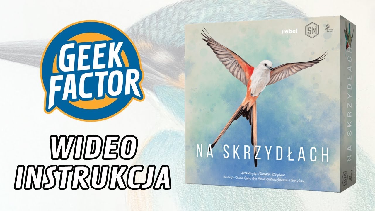 NA SKRZYDŁACH - Wideo Instrukcja