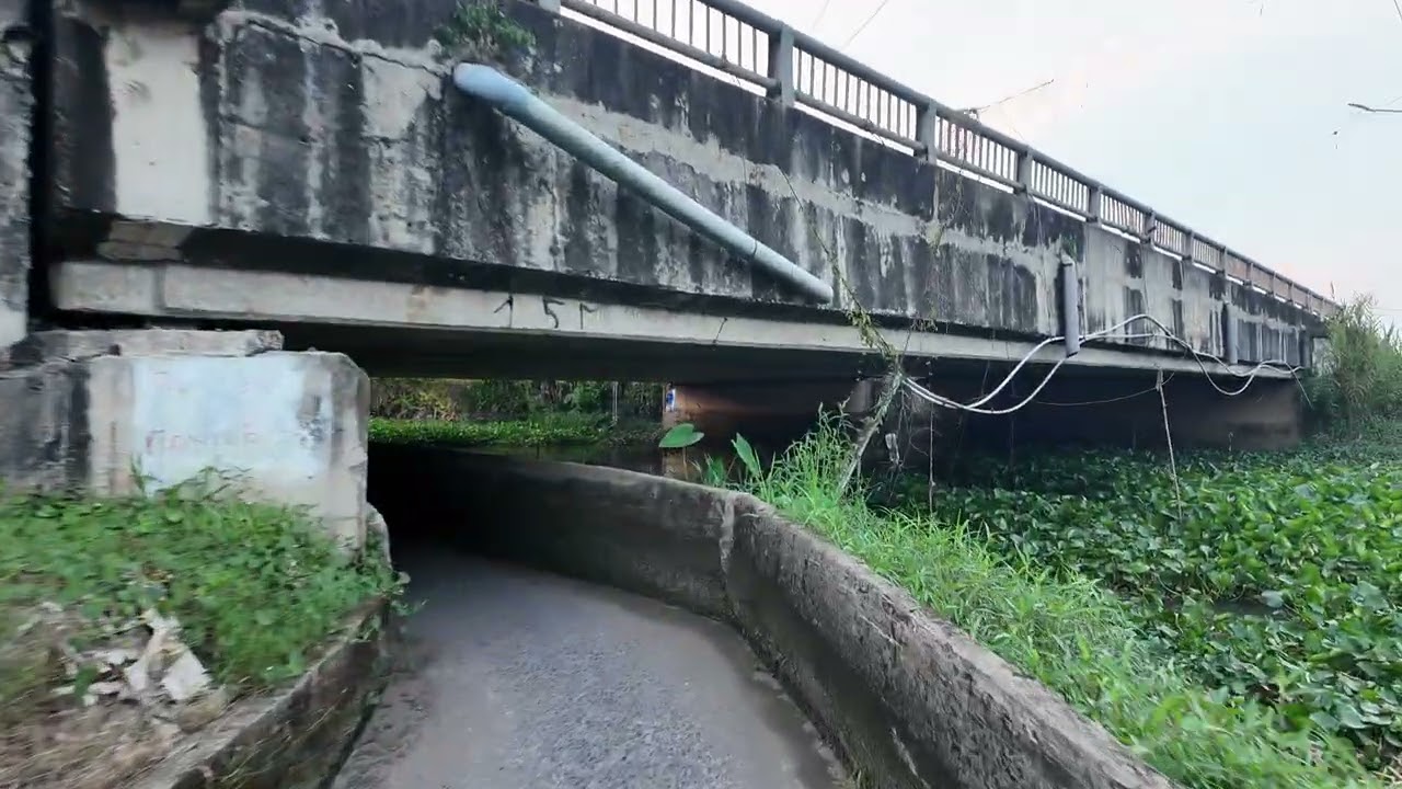 XÃ SONG PHÚ VĨNH LONG _ TỪ CHỢ SONG PHÚ ĐI ĐẾN CẦU PHÚ AN 