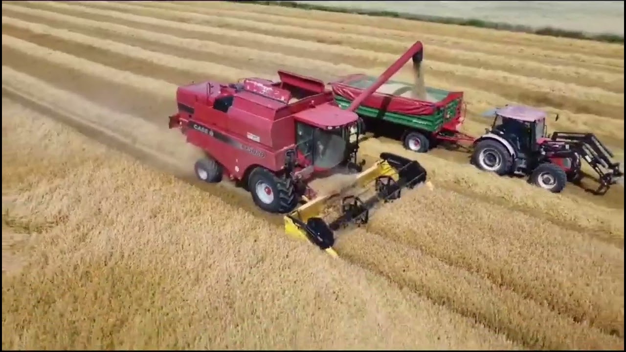 Case ct5080 jęczmień Agroserwis