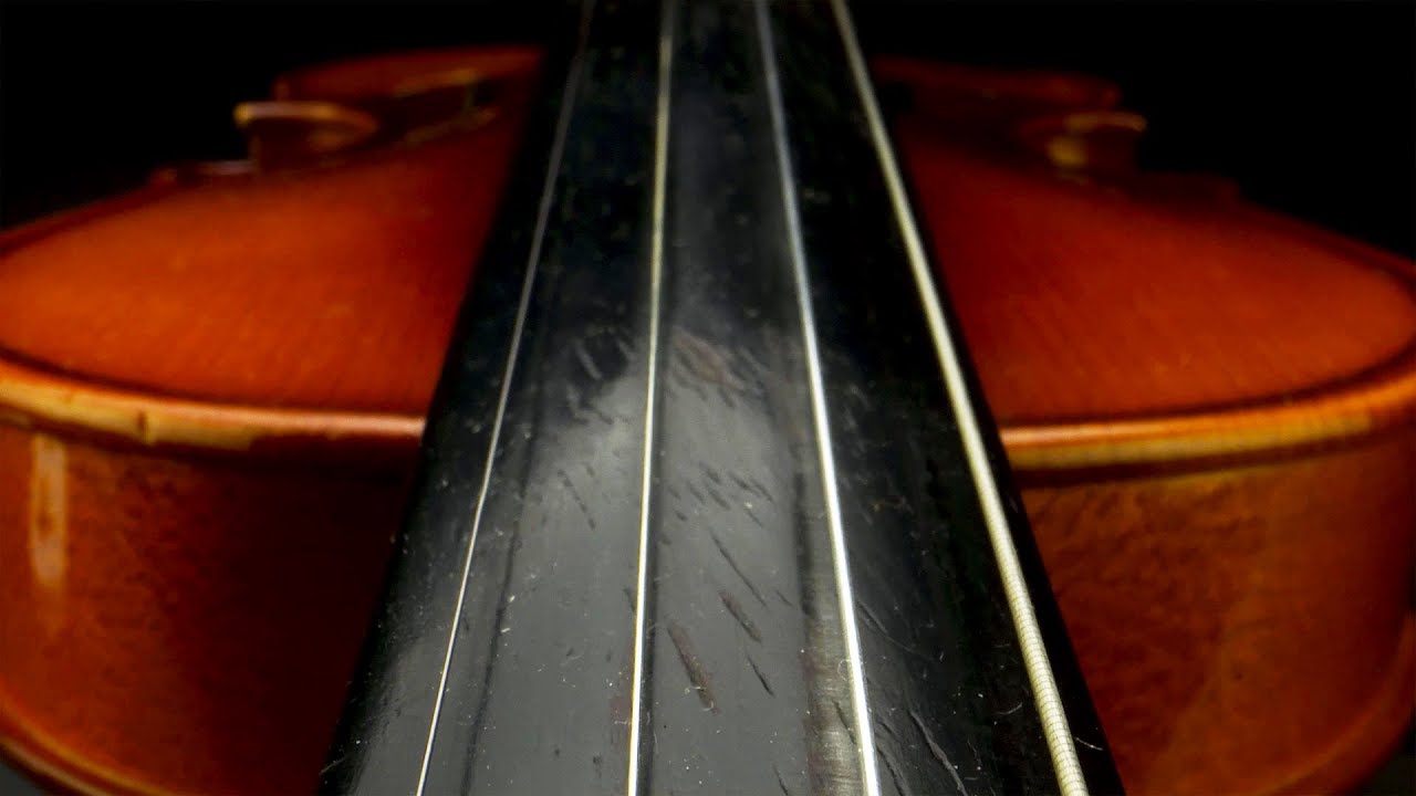 Best Violin Macro Photography