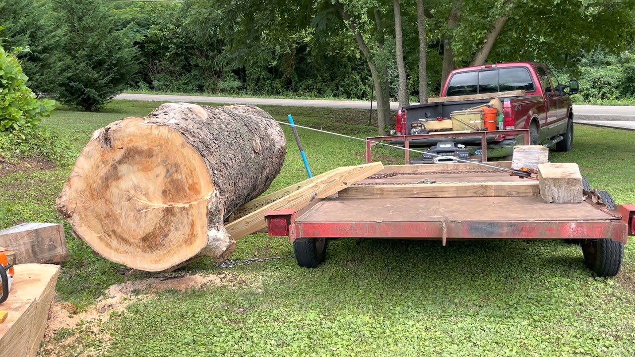 Sycamore Parbuckling