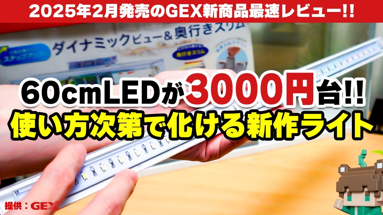 FLATTY600値上げラッシュに逆行する3000円台で買えるGEX新作LEDライト！小型水槽にも便利に使える60cm水槽用フラッティ600【ビバアクア】#アクアリウム #熱帯魚 #GEX