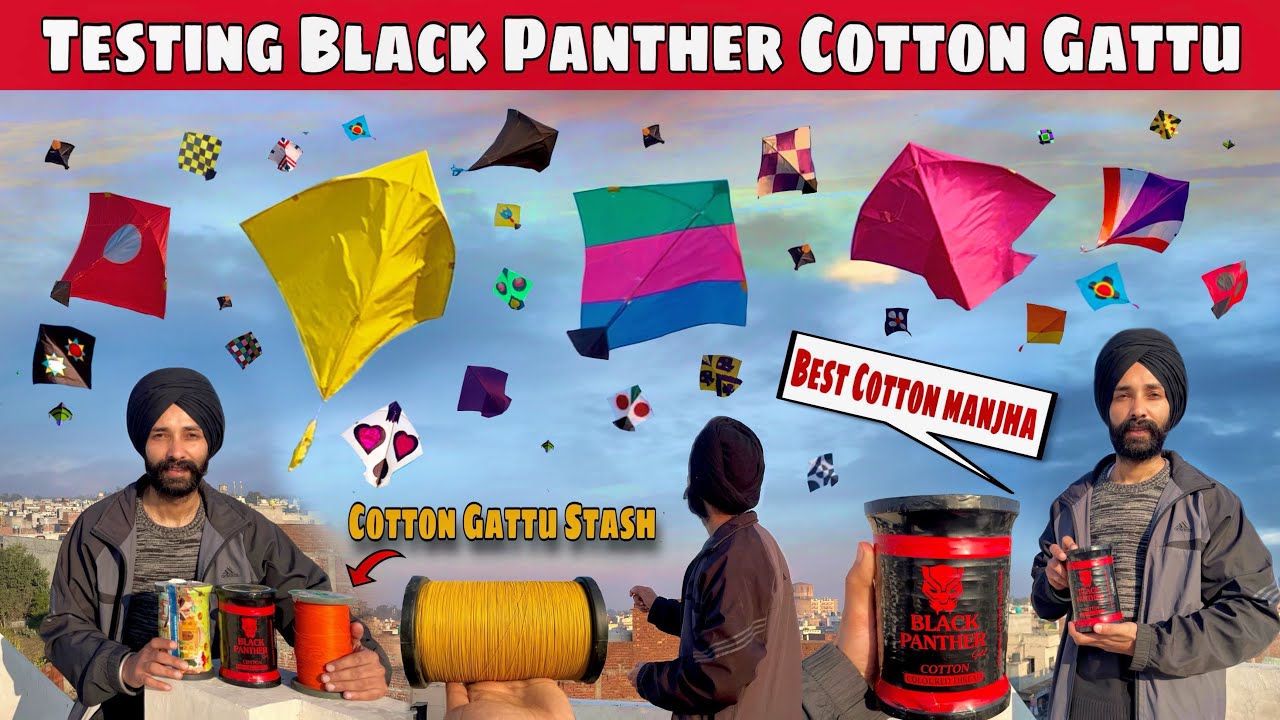 TESTING BLACK PANTHER GATTU😱indian Cotton Gattu🔥Kite Fight 2025✌️Patangbaazi In Amritsar….
