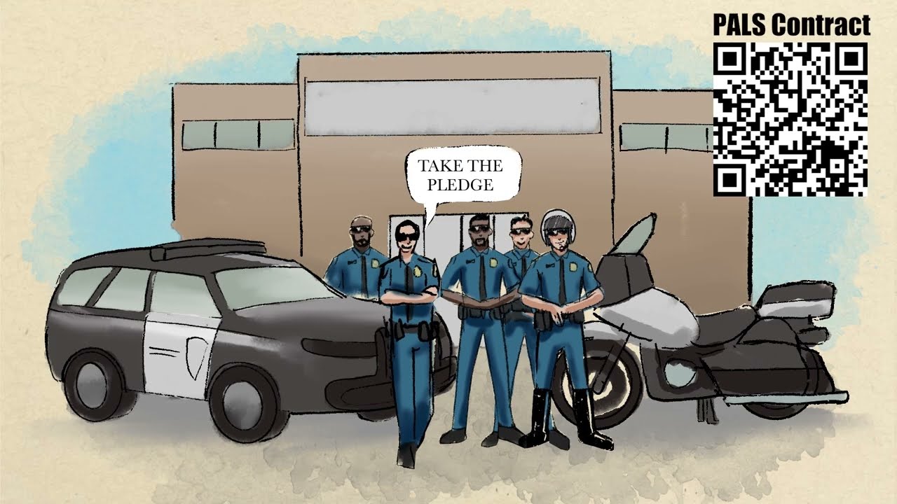 Peer Accountability for Law Enforcement Safety (PALS)