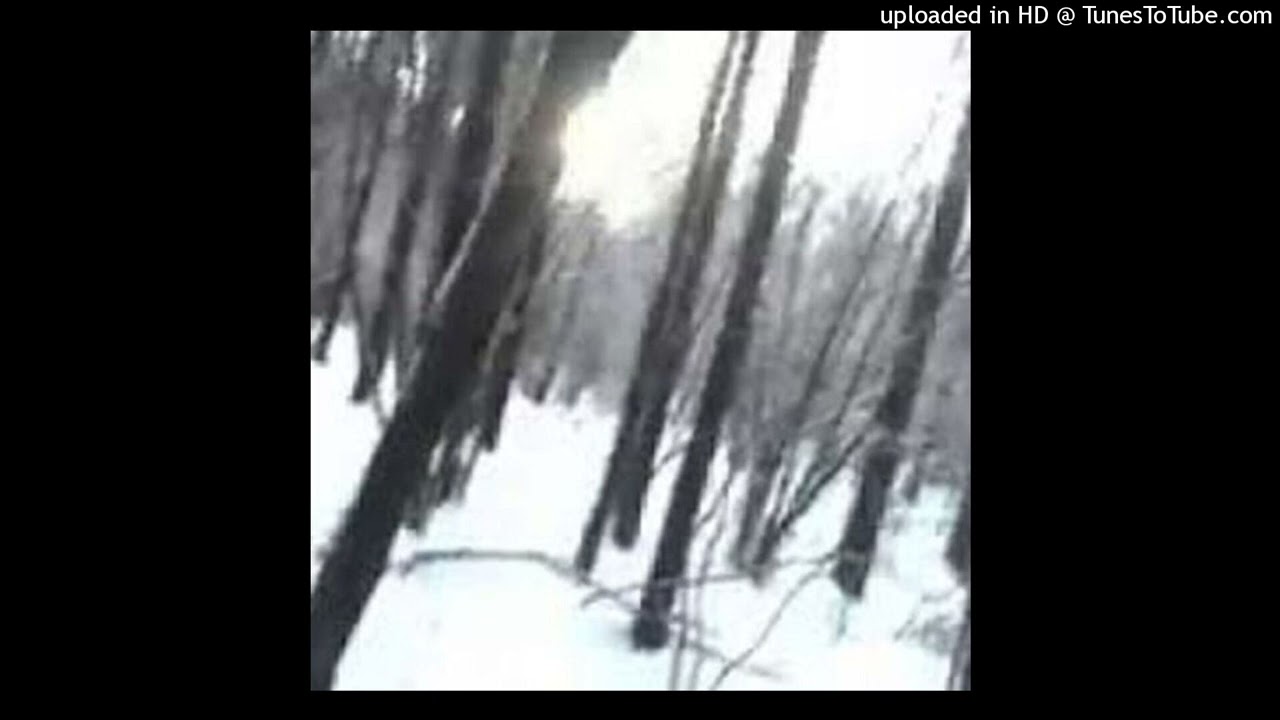 !NVKI - заблудился