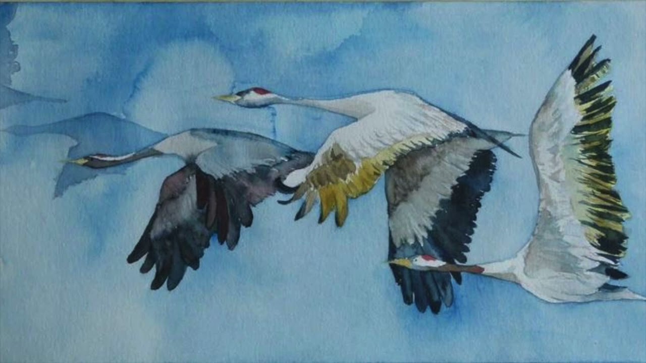 Мы перелётные птицы