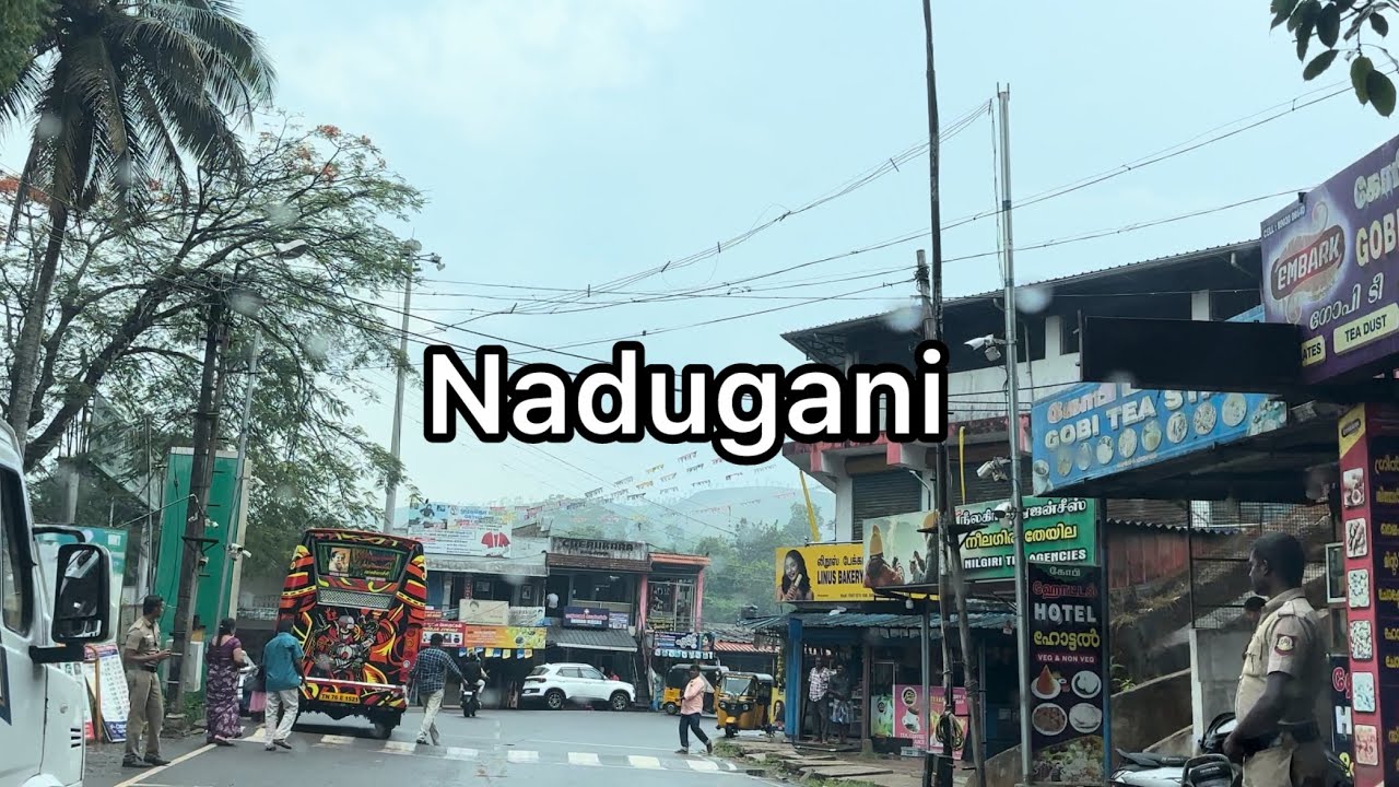 Nadugani town view | 4K | Nilgiris district | Tamilnadu