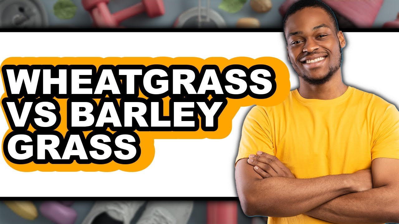 Wheatgrass vs Barley Grass - Full Comparison