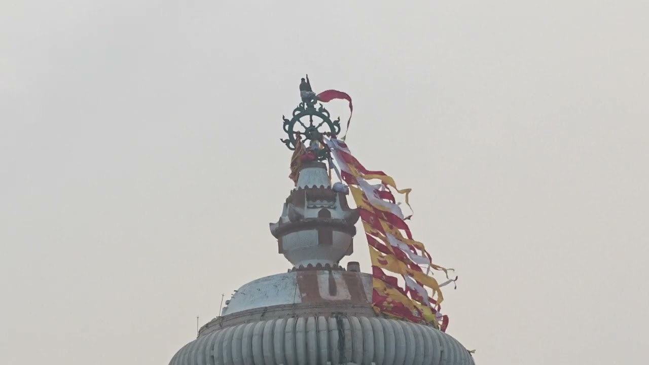 Today's Flag Change Darshan In Puri Dham 🙏🙏 #puri #jagannth #aarti 