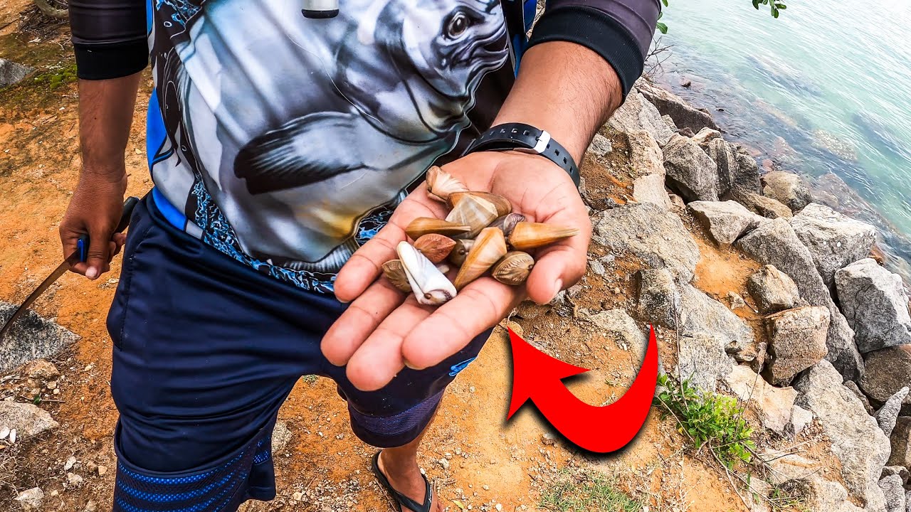 ISCA QUE TA EM TODA PRAIA E NINGUÉM LIGAVA - A MELHOR que já usei
