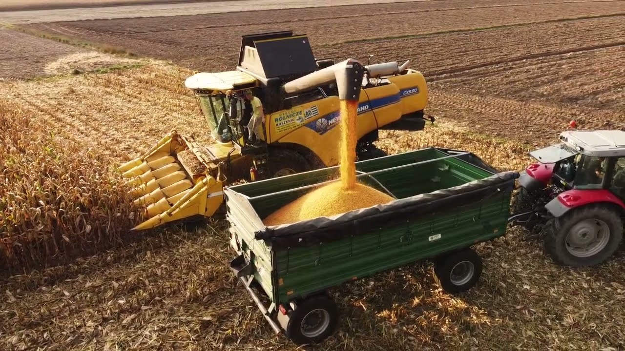 🇵🇱 🌽New Holland CX 5.80 W AKCJI! 🌽DKC 3888🌽 ☆ ŻNIWA KUKURYDZIANE 2024 ☆ 🇵🇱